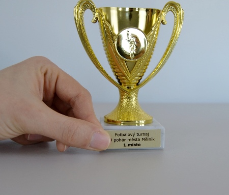 Sportovní pohár Wellington 13 cm