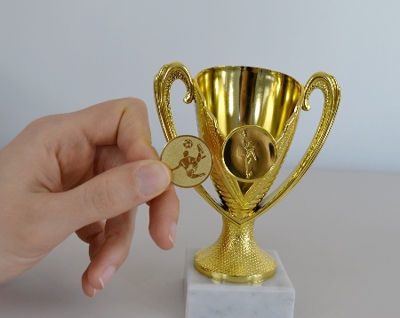 Sportovní pohár Wellington 13 cm