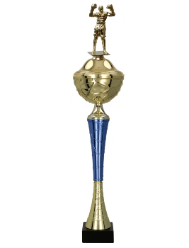 Boxerský pohár Adelaide 39 - 55 cm