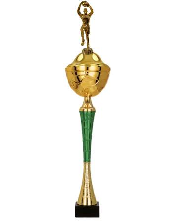Basketbalový pohár Brisbane 37 - 53 cm
