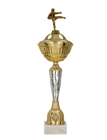 Pohár Karate Montevideo 34 - 50 cm