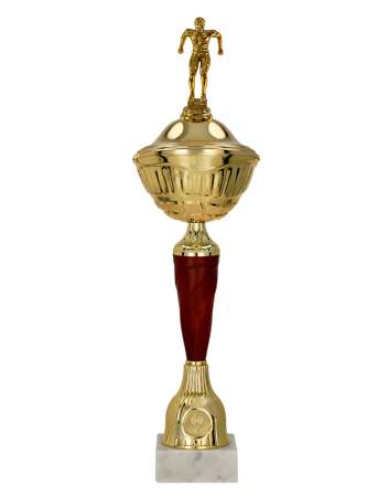 Plavecký pohár Maribor 34 - 50  cm 