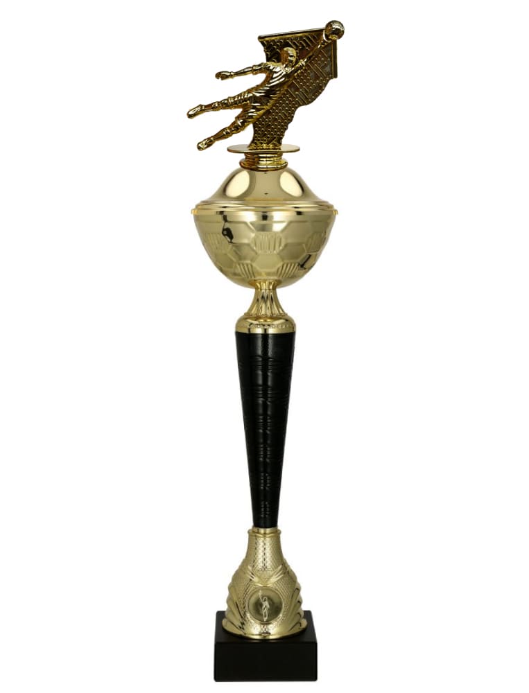 Sportovní pohár 