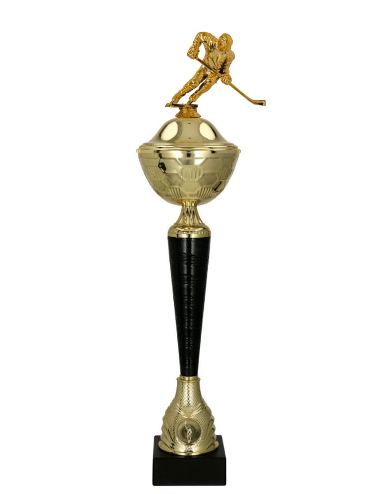 Sportovní pohár 