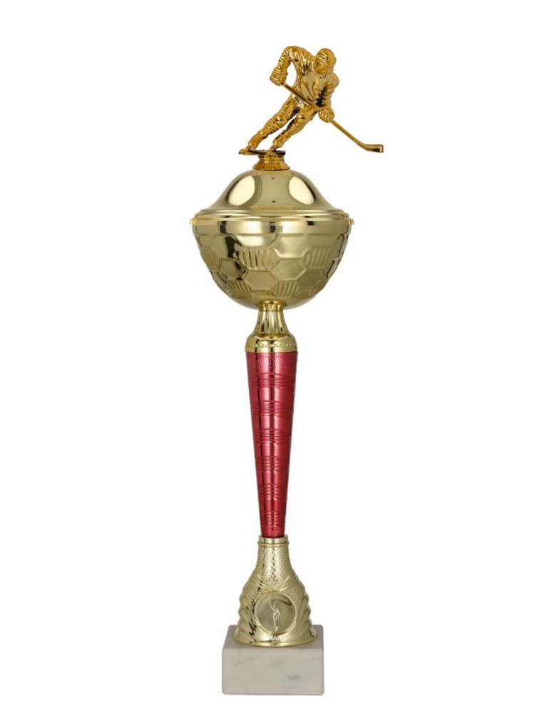 Sportovní pohár 