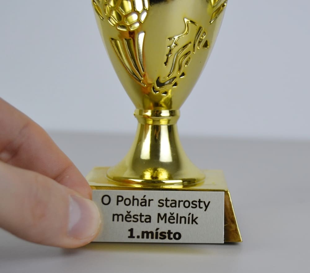 Sportovní pohár Dakota