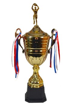 Basketbalový pohár Mannheim