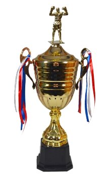 Boxerský pohár Mannheim