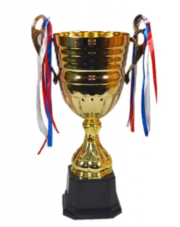 Sportovní pohár Mannheim